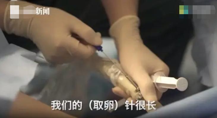 高校女生兼职有多残酷,高校女生兼职的真实经历