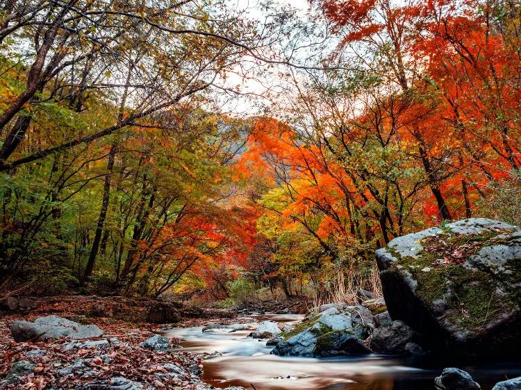 江河湖海洋,江河湖海手抄报
