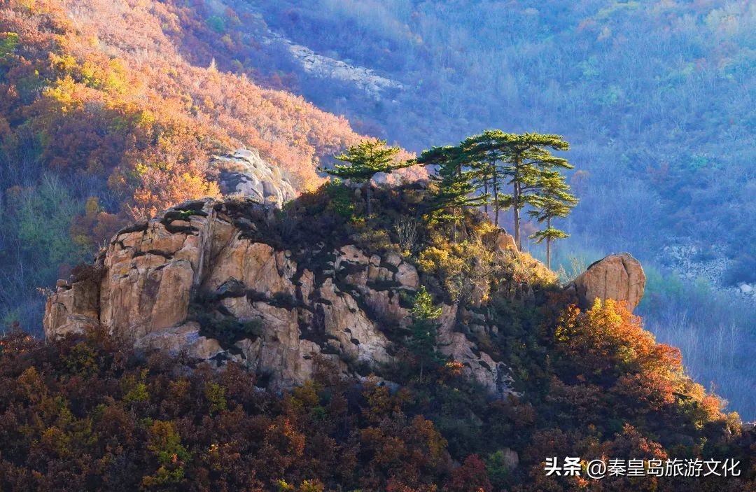 上帝打翻了秋天的调色盘,上帝打翻了调色盘诗句