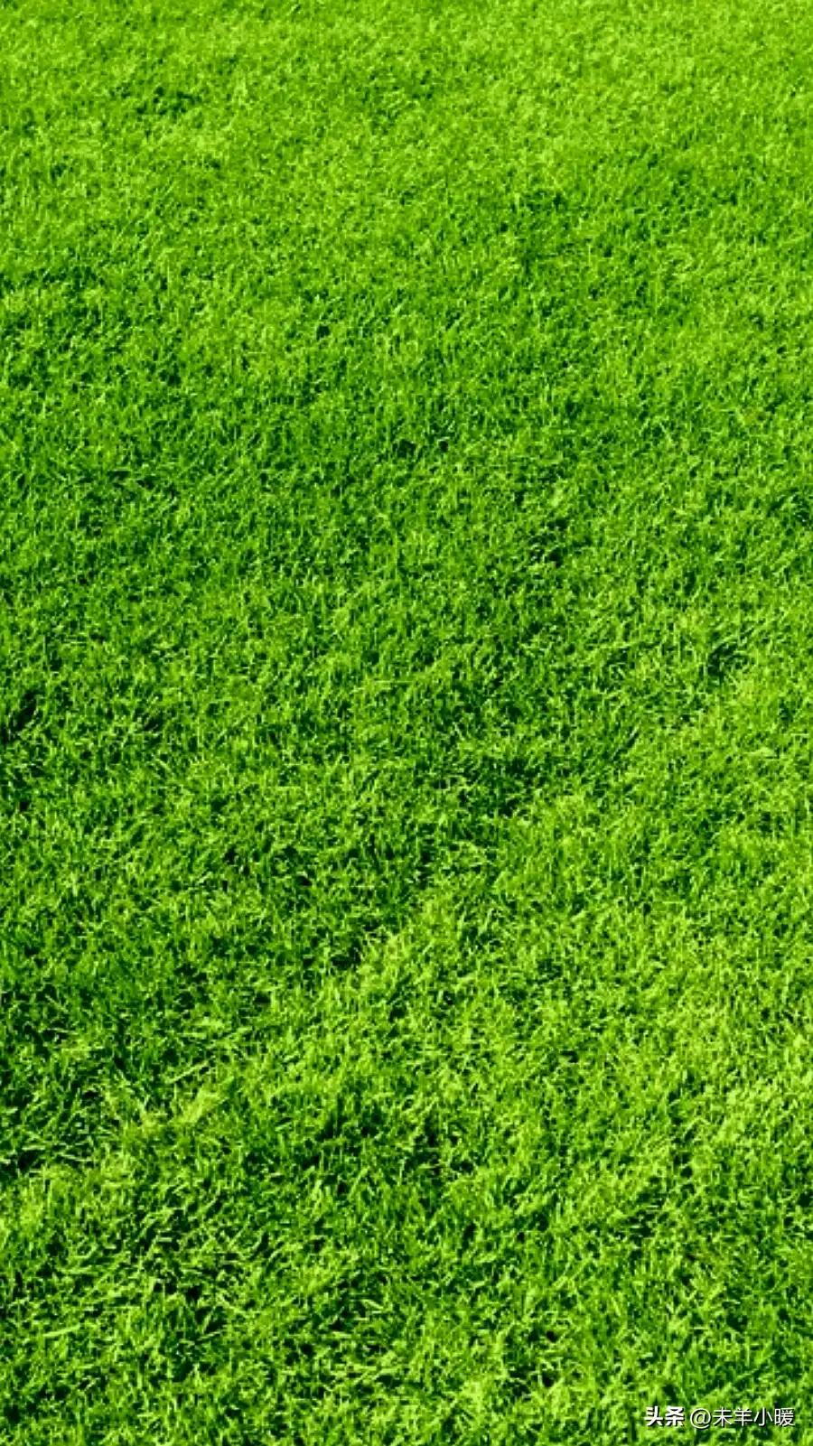 超清超美独一无二手机壁纸图片,养眼养心的壁纸