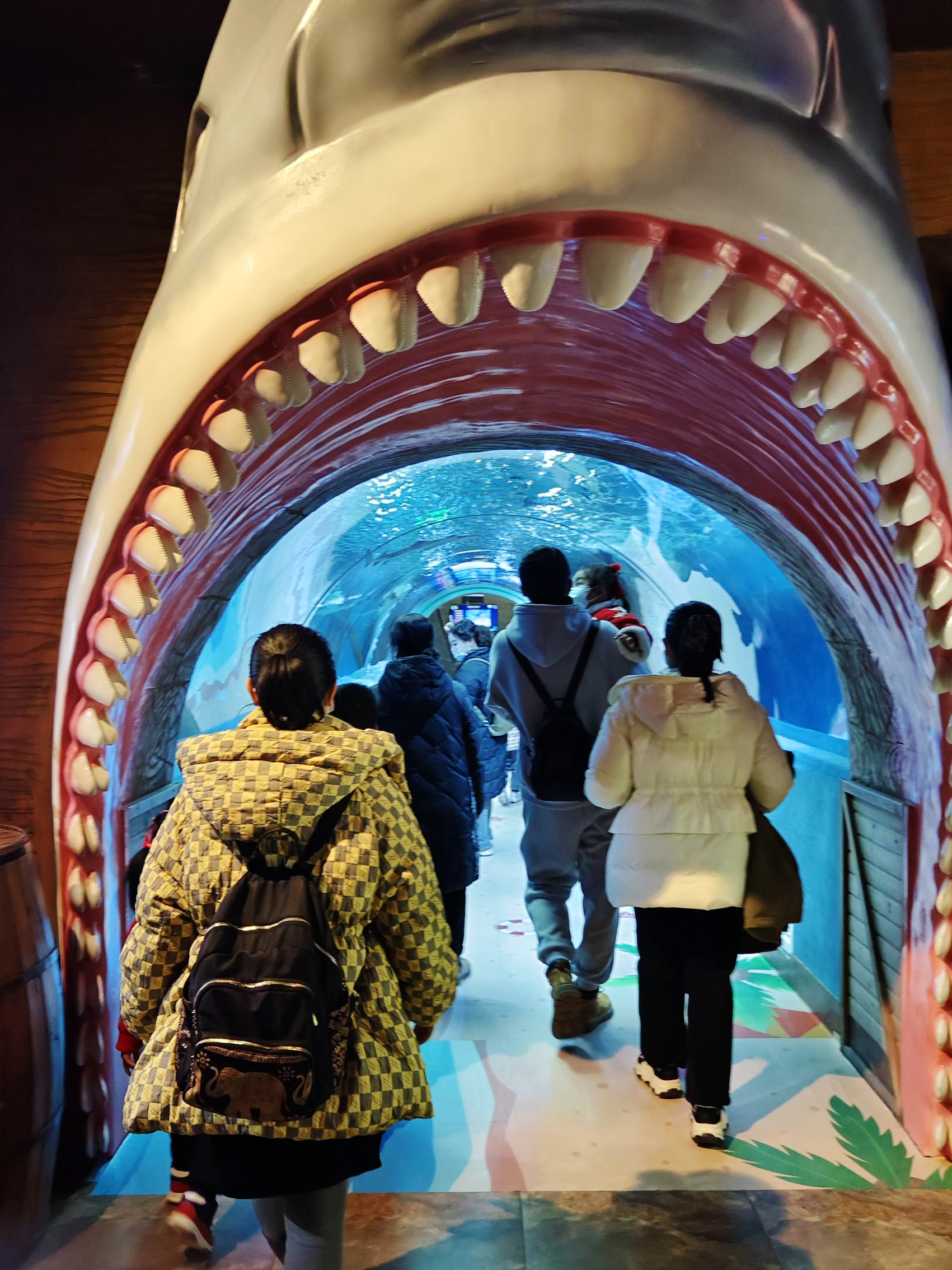 合肥海洋世界里面有儿童乐园吗,带娃去合肥海洋馆游玩攻略