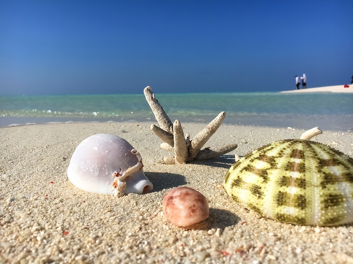 去北海5天花费,去北海玩5天吃的要花多少