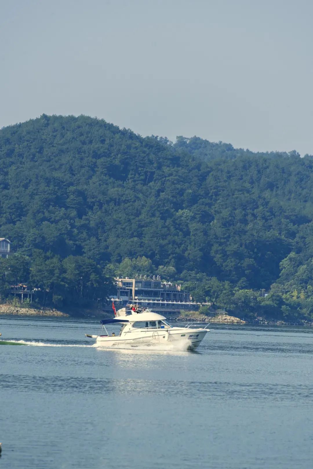 陈妙林直播,开元酒店集团董事长陈妙林