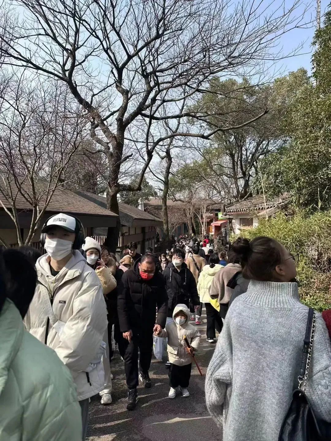 汕头小公园春节人山人海,2023年春节旅游人山人海