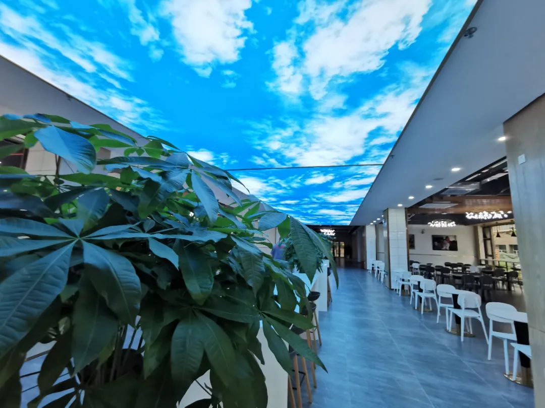 深圳市厚德书院学费,深圳市厚德书院