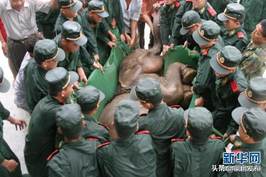 cop15第二次会议,cop15云南会场