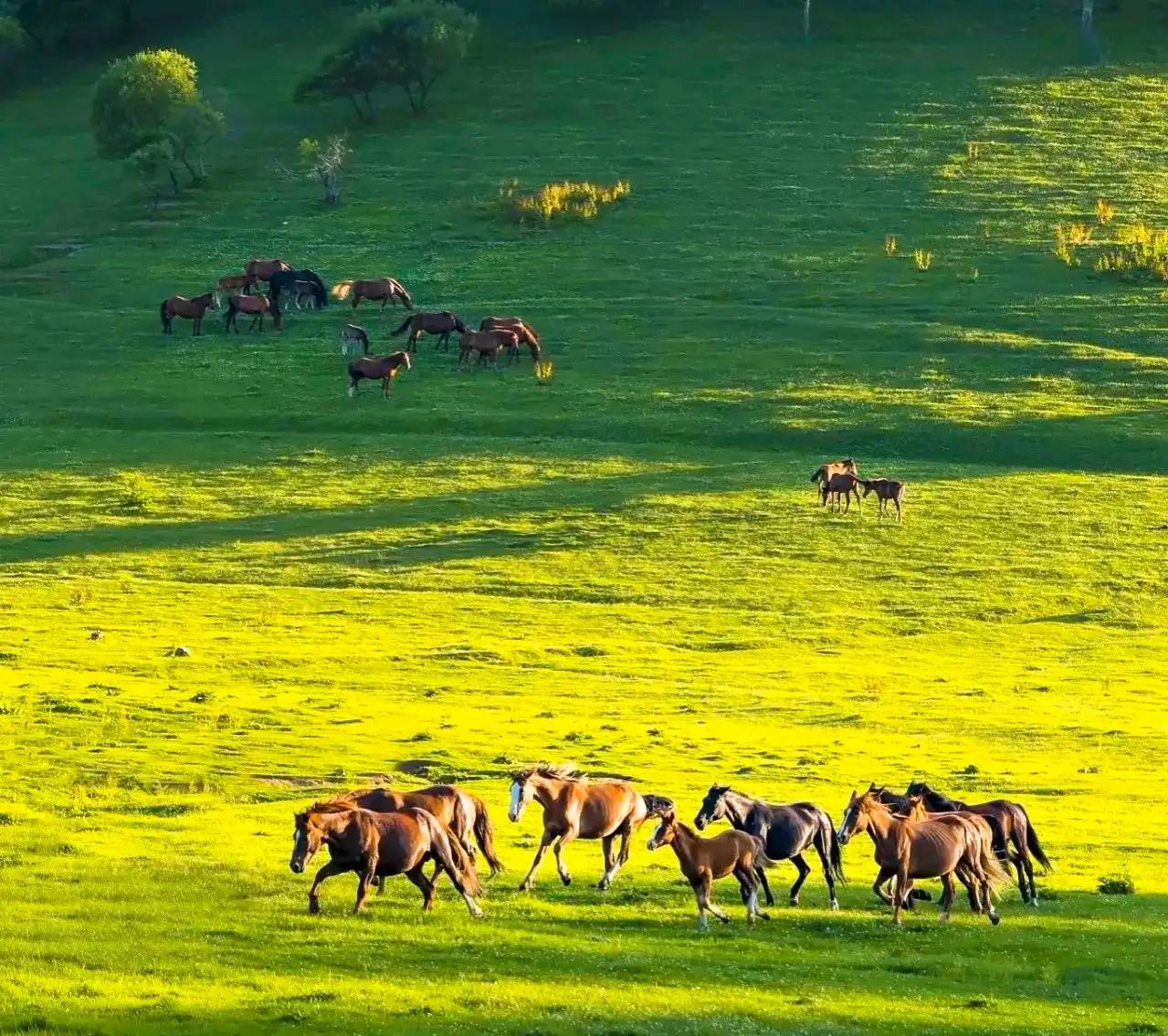 和大自然一起去旅行,和地理老师一起去旅行