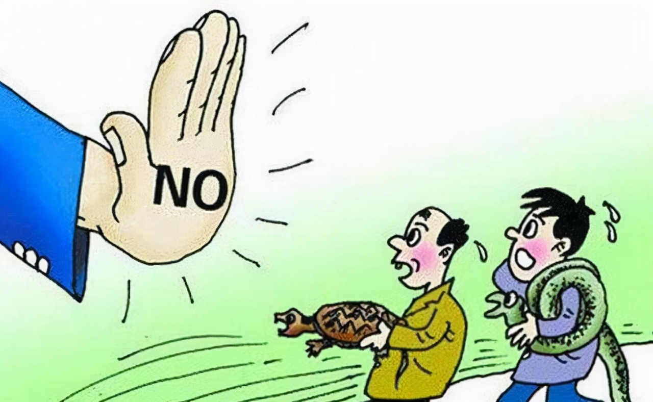 抓黄鼠狼罚960万,21人猎捕1.2万只黄鼠狼判赔近千万