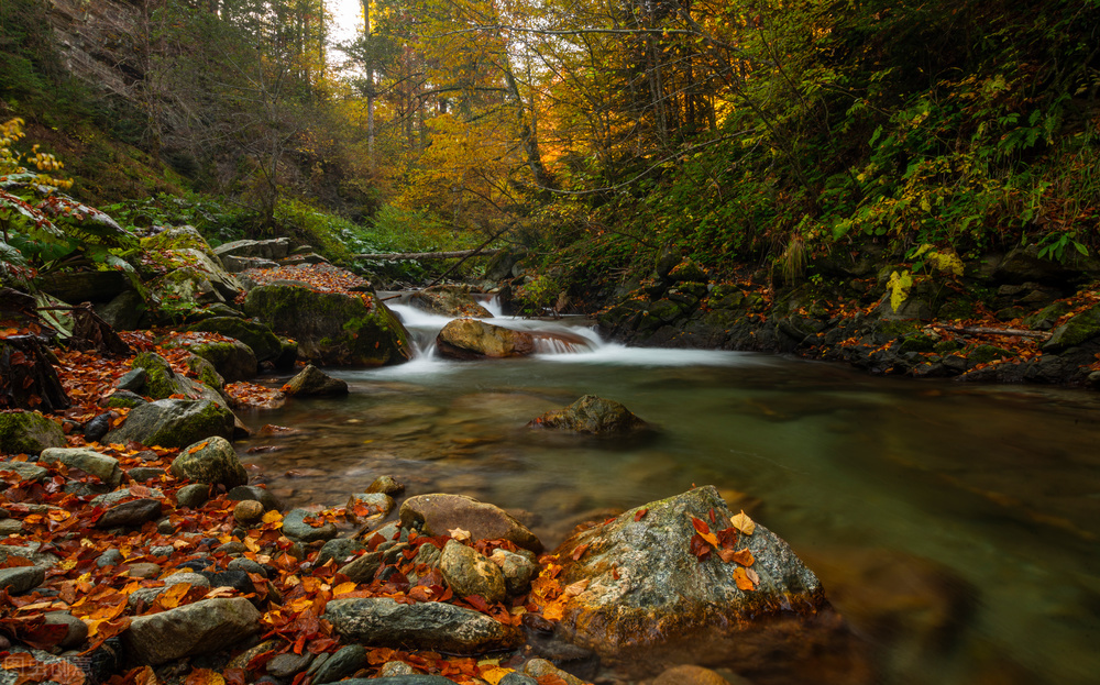 李白写过沙丘城下寄杜甫,望月思乡李白即兴吟诗