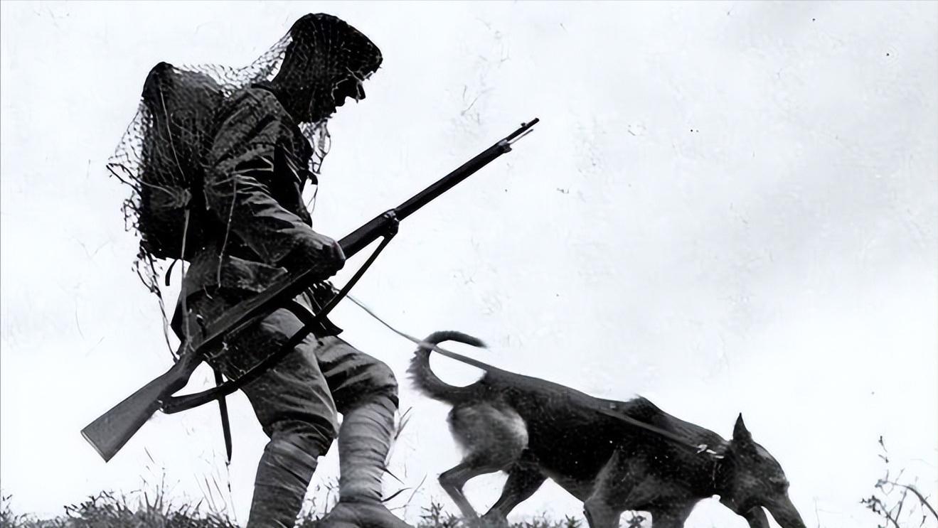 日军在大同罪行,日军进入太原的暴行