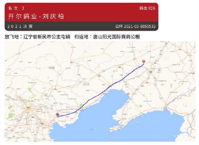 2021年国际鸽联“洲际杯”国际公棚鸽王赛—唐山阳光站决赛关完赛