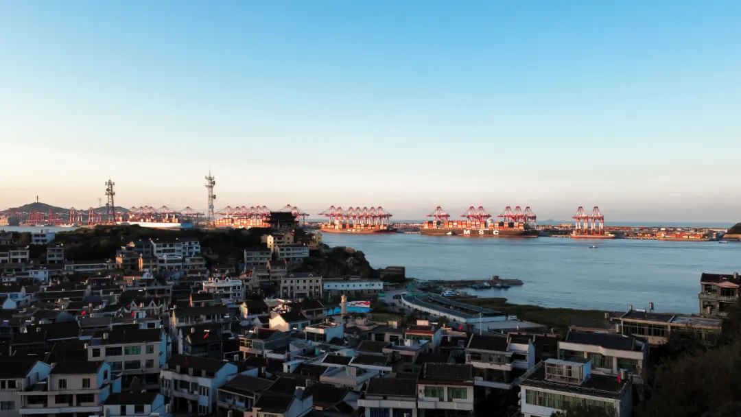 上港集团年收入,上港集团和上海港集团