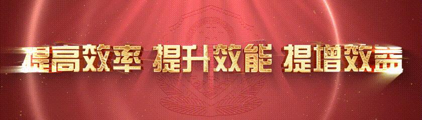 禁毒严打整治再添新成果,禁毒打击整治行动简报