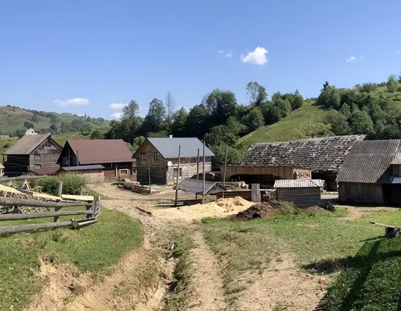 上海美女巨贪金英丽,被三名富商共享,随身携带生计用品方便开房