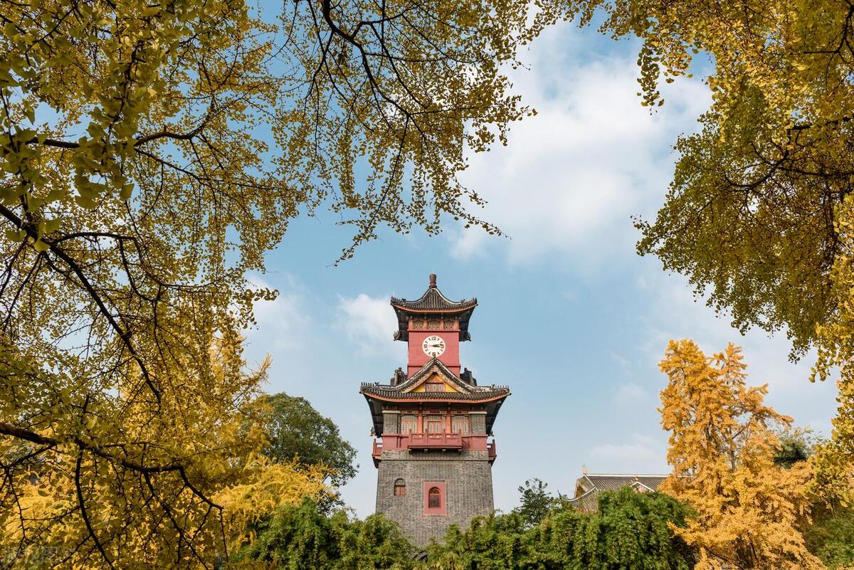 四川大学2023年在川招生人数,四川大学2023招生简章公布