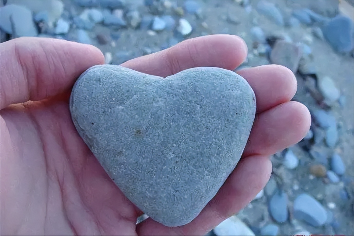 送女友石头、搞性别歧视，当众开黄腔，老实人李晨真没那么老实！