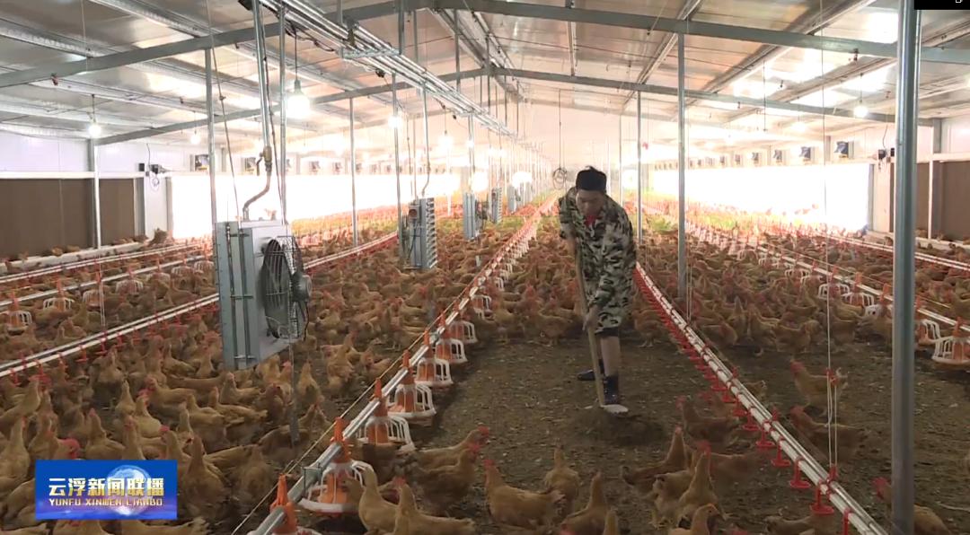 在家就能创业就业,这些云浮人的日子越来越有奔头