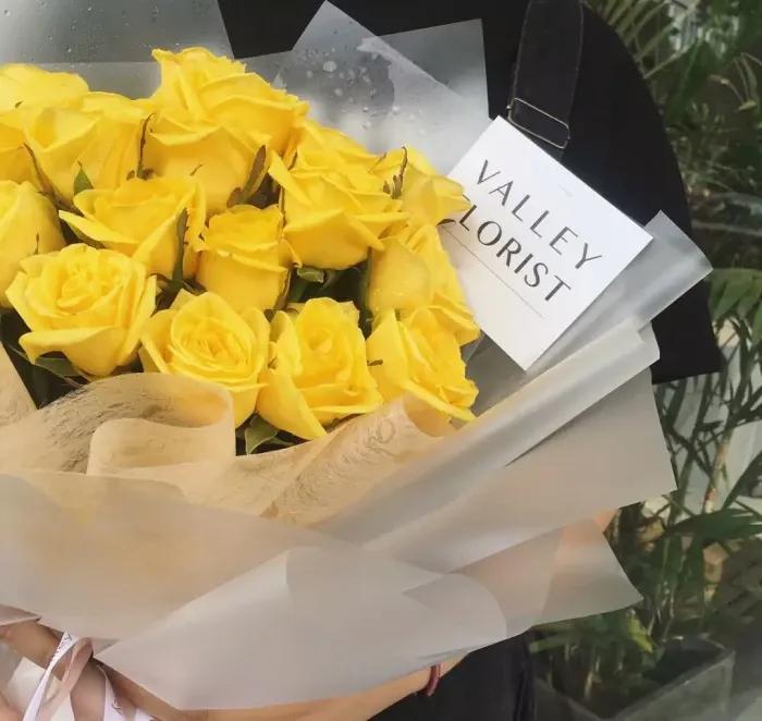 求婚送什么颜色的玫瑰花比较合适,玫瑰花的外形特点和颜色的特点