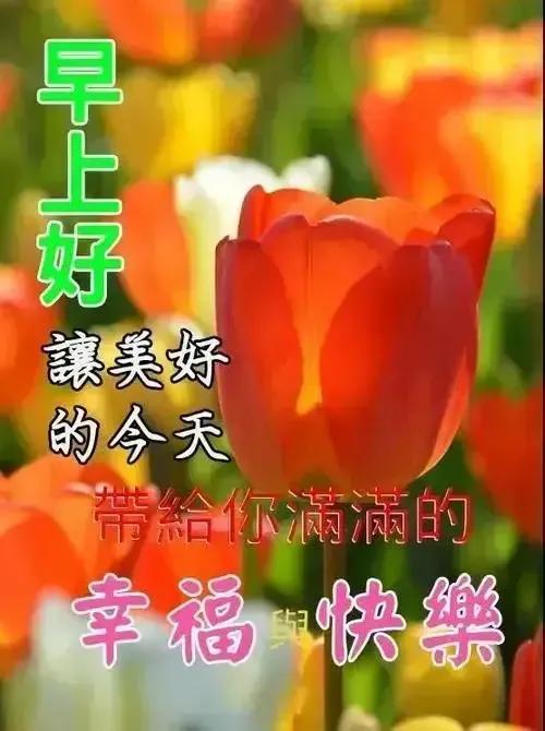 庚子日柱2023年癸卯年运势,癸卯年2023年哪个月出生最好