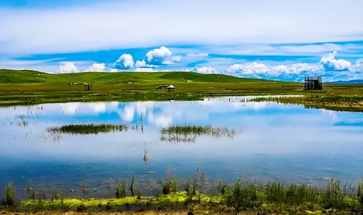 红军长征过草地有什么危险,长征时的草地危机四伏