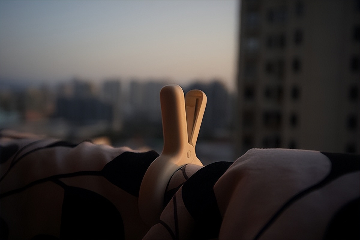 家里有臭虫怎么才能快速彻底消灭,怎么才能把家里的臭虫彻底消灭