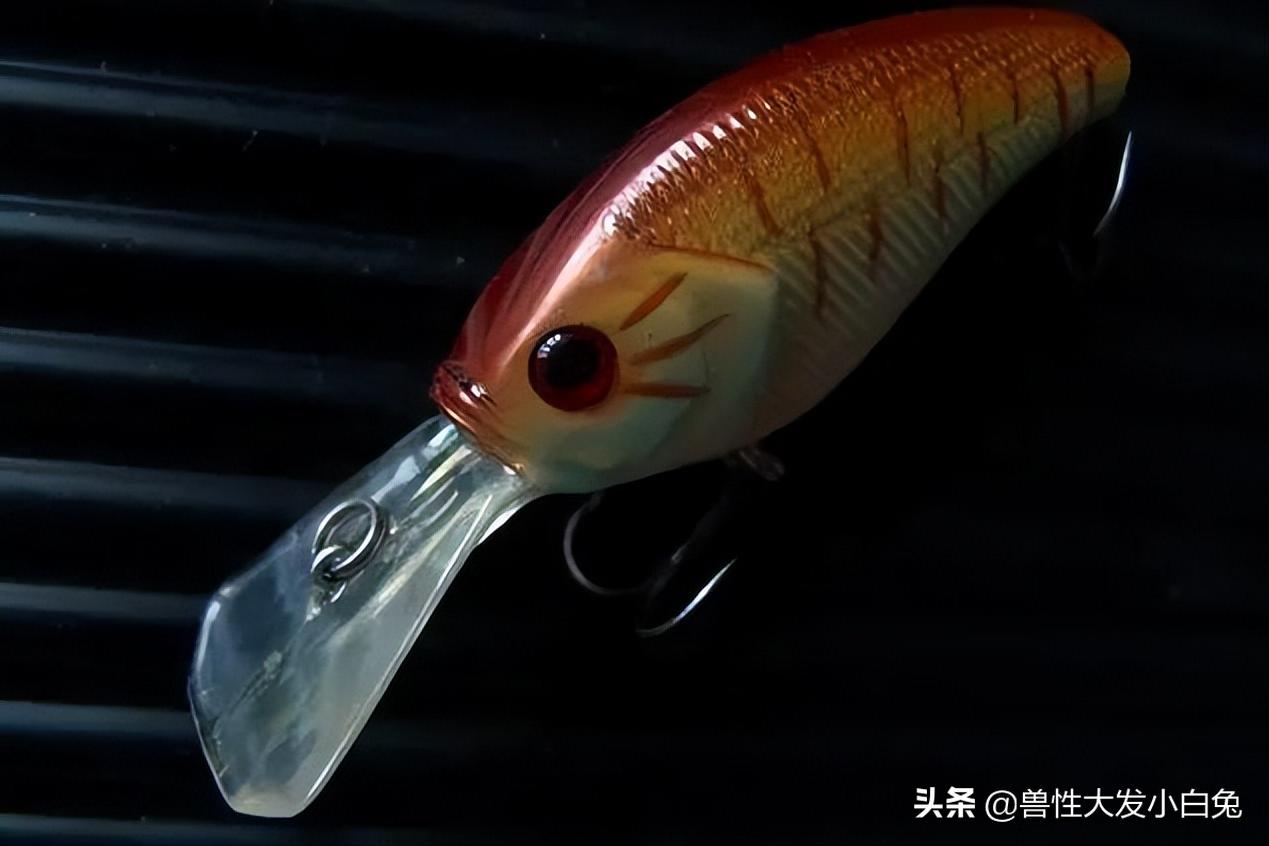 路亚鱼饵的介绍,路亚饵的全方面介绍