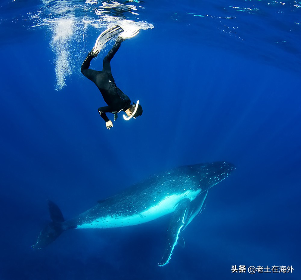汤加面临的是火山喷发还是海啸,汤加火山爆发汤加还好吗