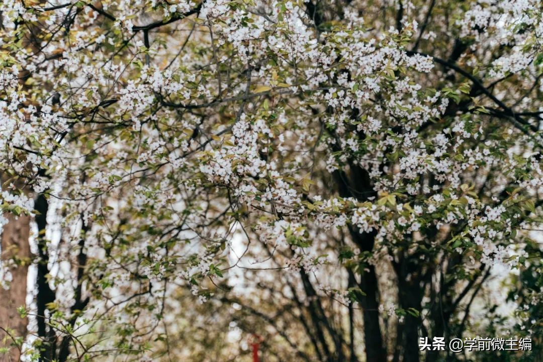 一家充满阳光与爱的幼儿园,一家充满爱与能量的幼儿园