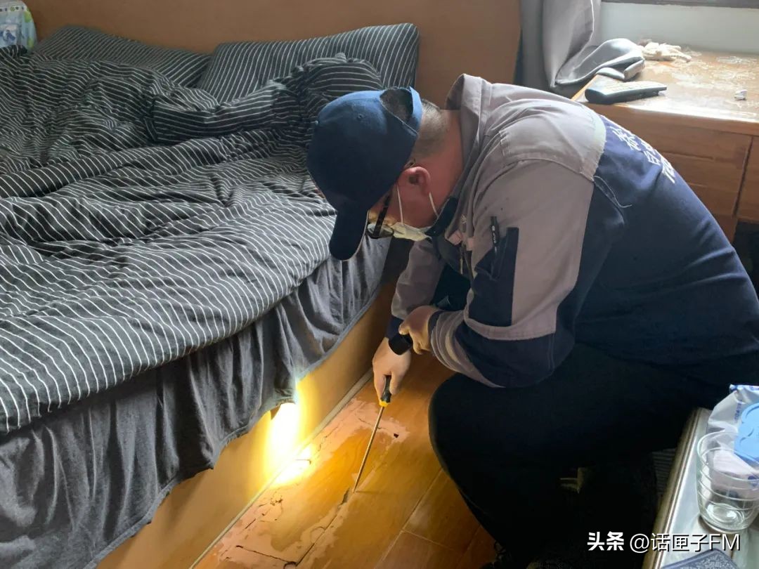 家中发现白蚁如何防治,白蚁的危害和治疗方法