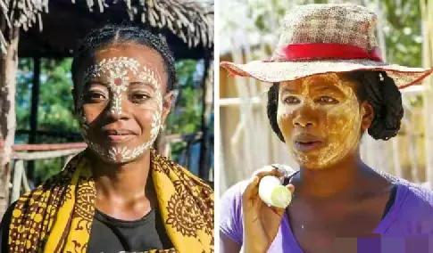 每日冷知识全集,每日冷知识100条