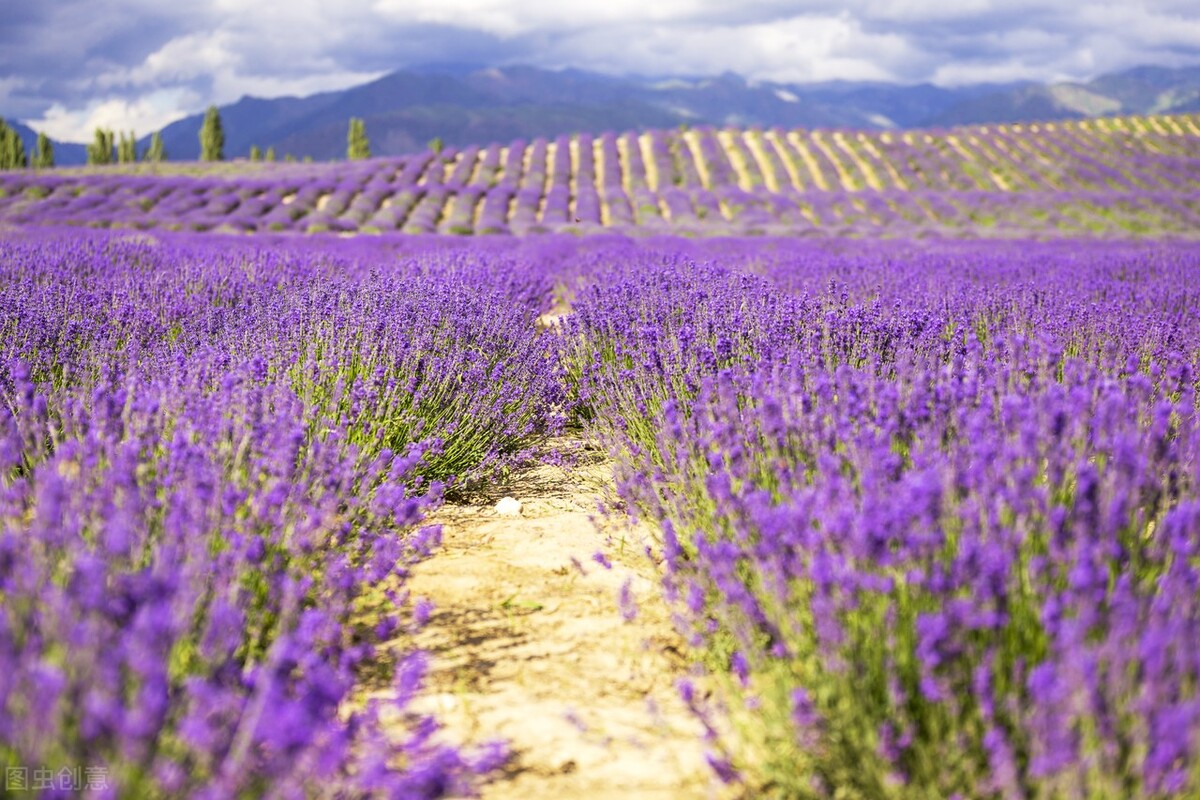 “狠”到“点子上”的女人，不吼不骂不怨赢到最后
