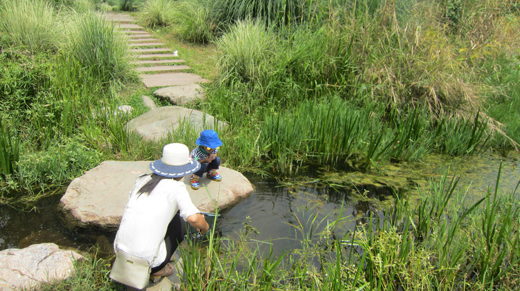 西昌邛海环湖自驾游攻略,川西旅游攻略自驾游西昌出发
