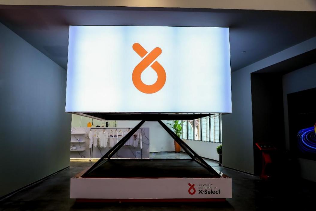 辛巴辛有志直播助农有妙招,景明公司吕宝花巾帼电商助农团队