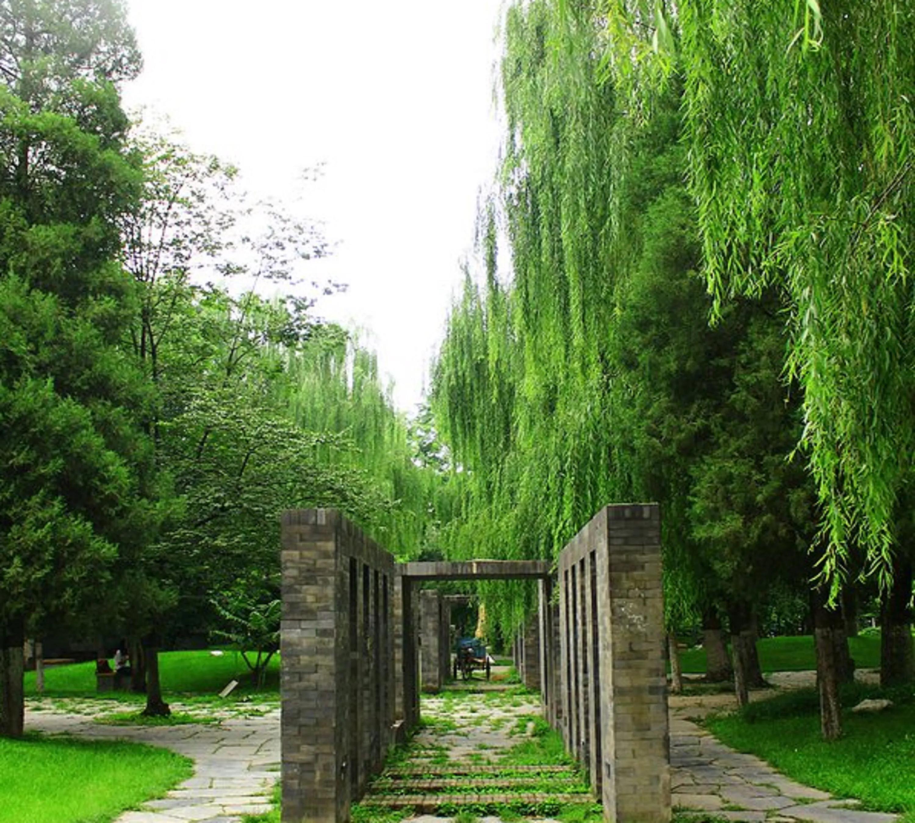 北京外国语大学外语有多强,北京外国语大学多少分可以上