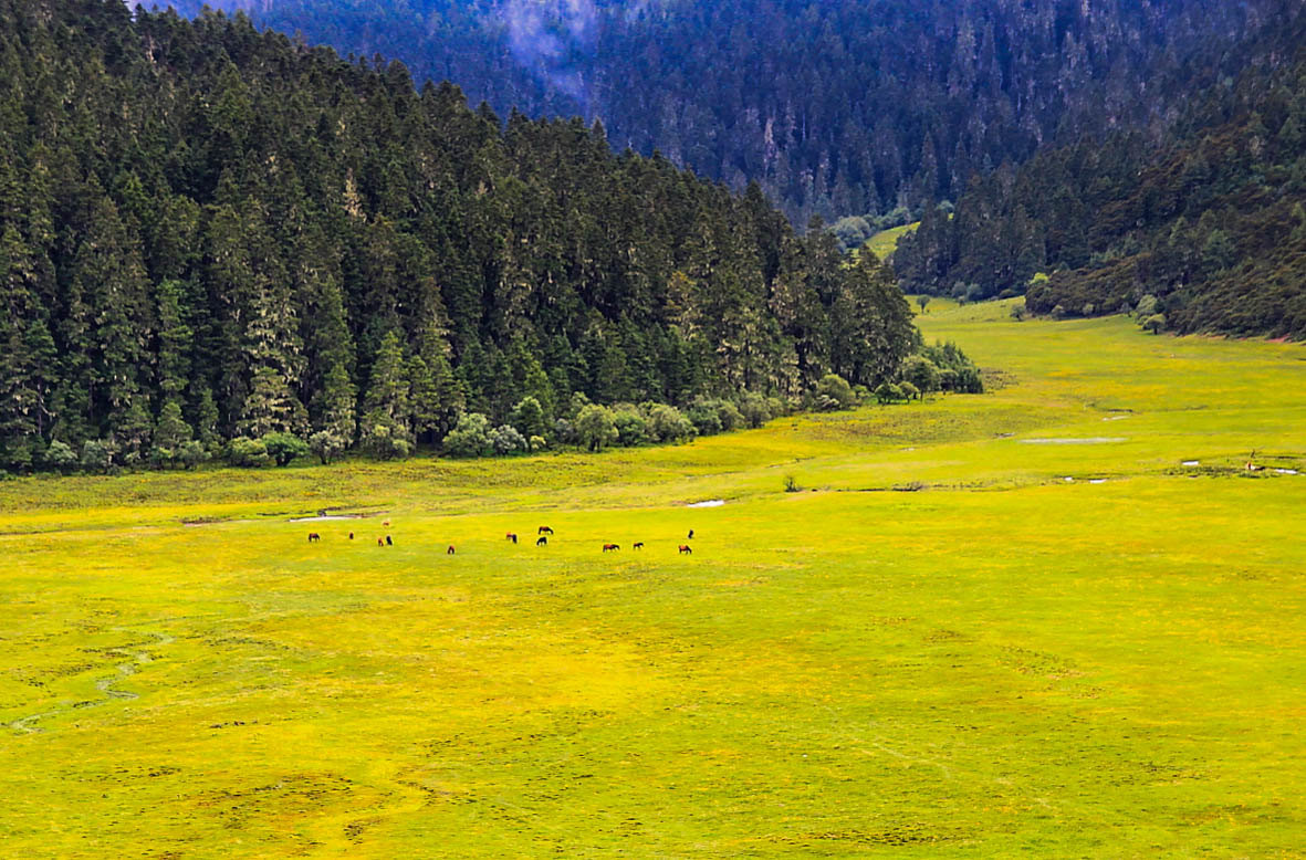 云南腾冲5a景区,走遍中国5a景区云南