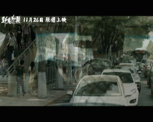 《野马分鬃》横冲直撞的青春里，我们也是否有过迷茫？