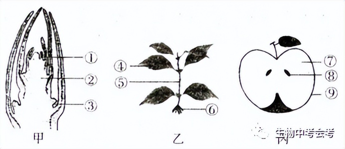 初中生物会考试卷复习视频,中考会考生物试卷