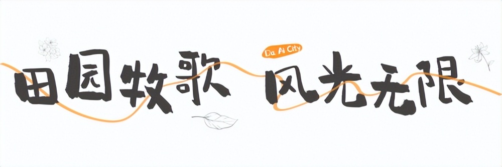 「向往的生活」芒果台上映，向往的老年生活也在这里上演