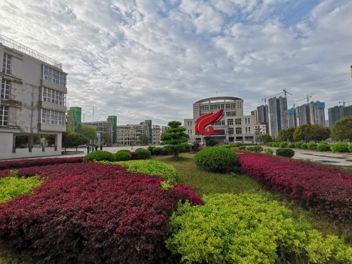 新洲区一中好吗,新洲一中情况如何