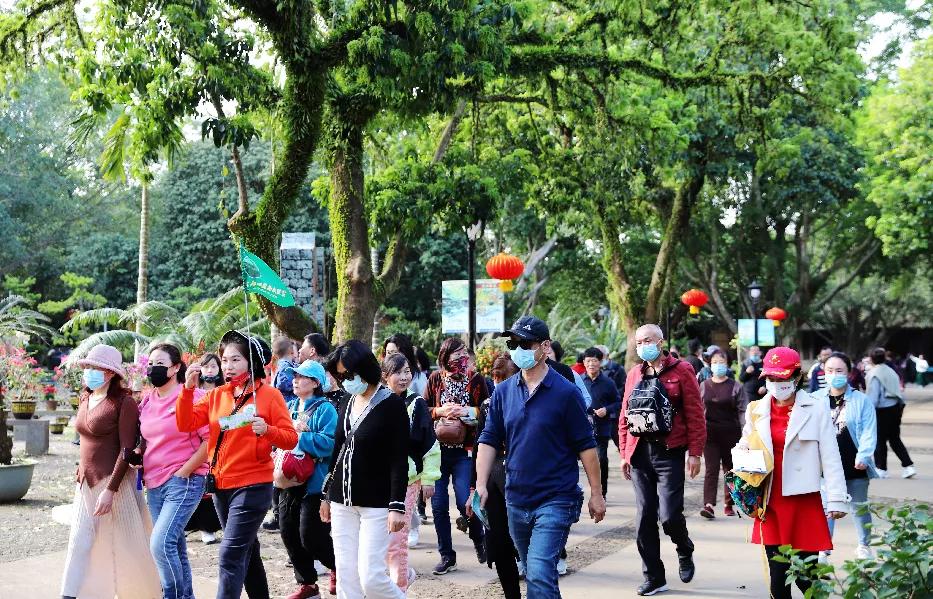 虎虎生威虎年潮品,虎虎生威新春主题活动