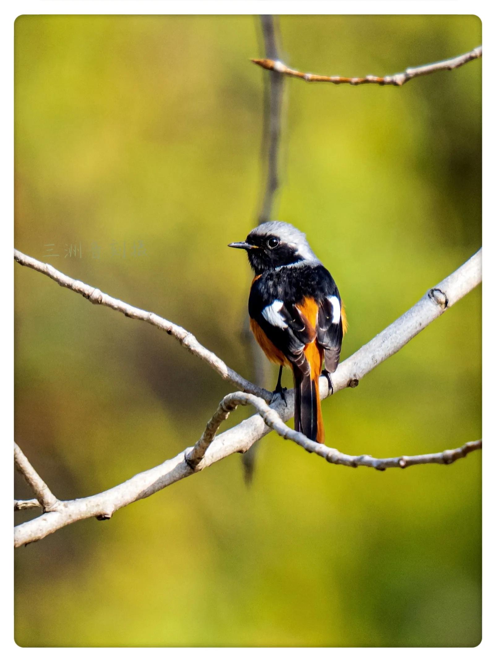 上海市嘉定区安亭国际汽车城,上海嘉定安亭国际汽车城