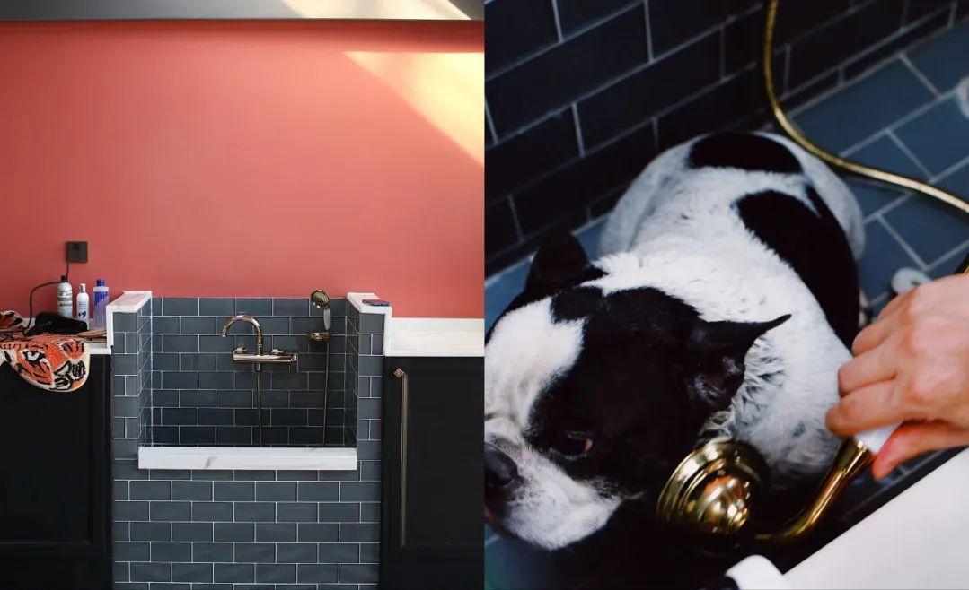 家里拖把池实用吗,家里有拖把池用什么拖把