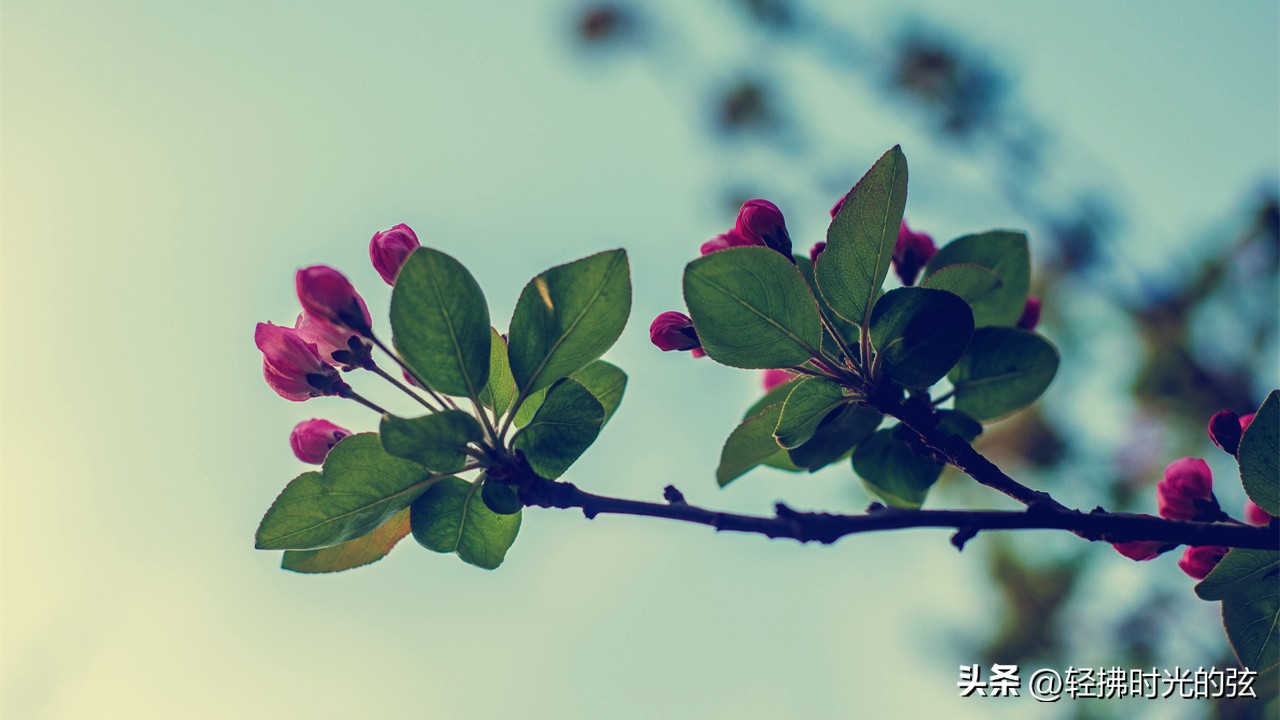 中国著名诗词大全集,诗词十大最美巅峰之作