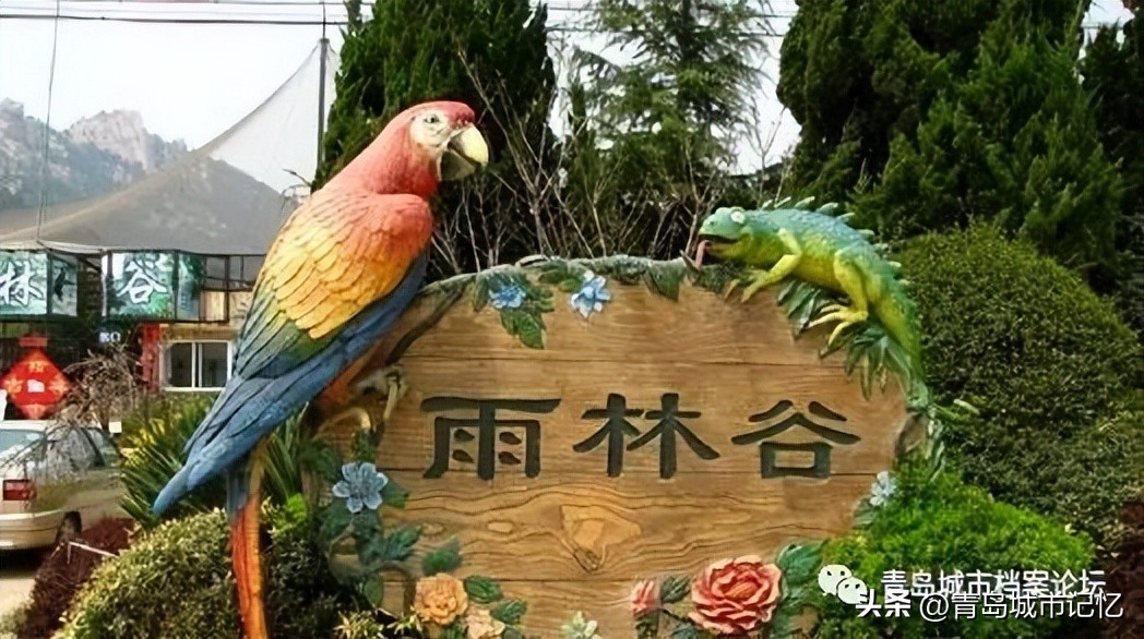 消失的青岛雨林谷,还记得可爱的小老虎吗?