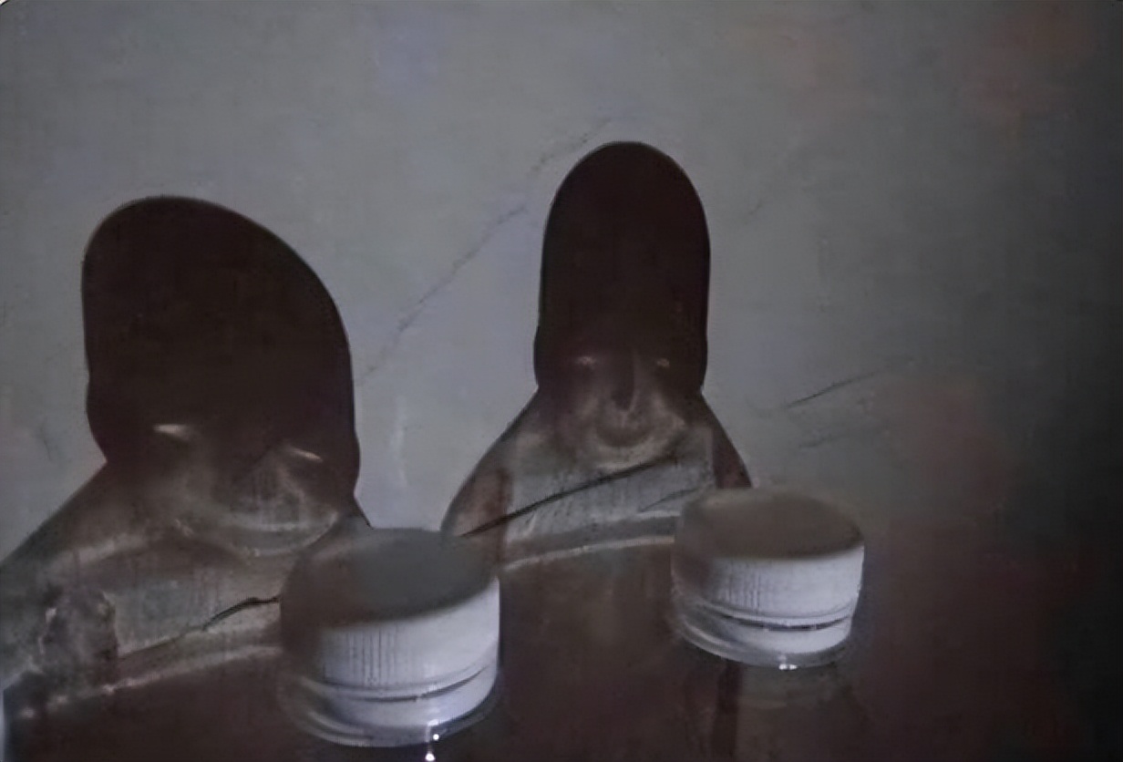 有没有人觉得猫头鹰长得很可怕,猫头鹰真正的照片