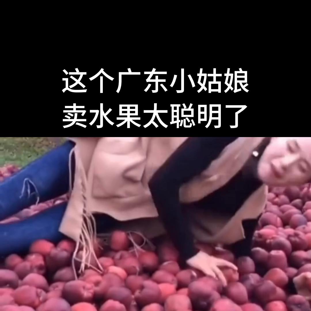 营销策略,营销策略方案