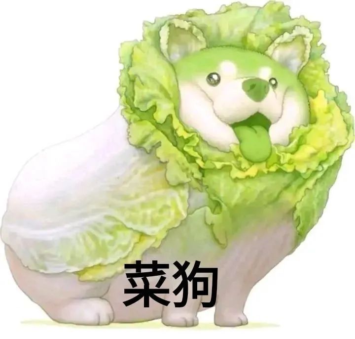 葛兰800,葛兰辟谣购买豪宅