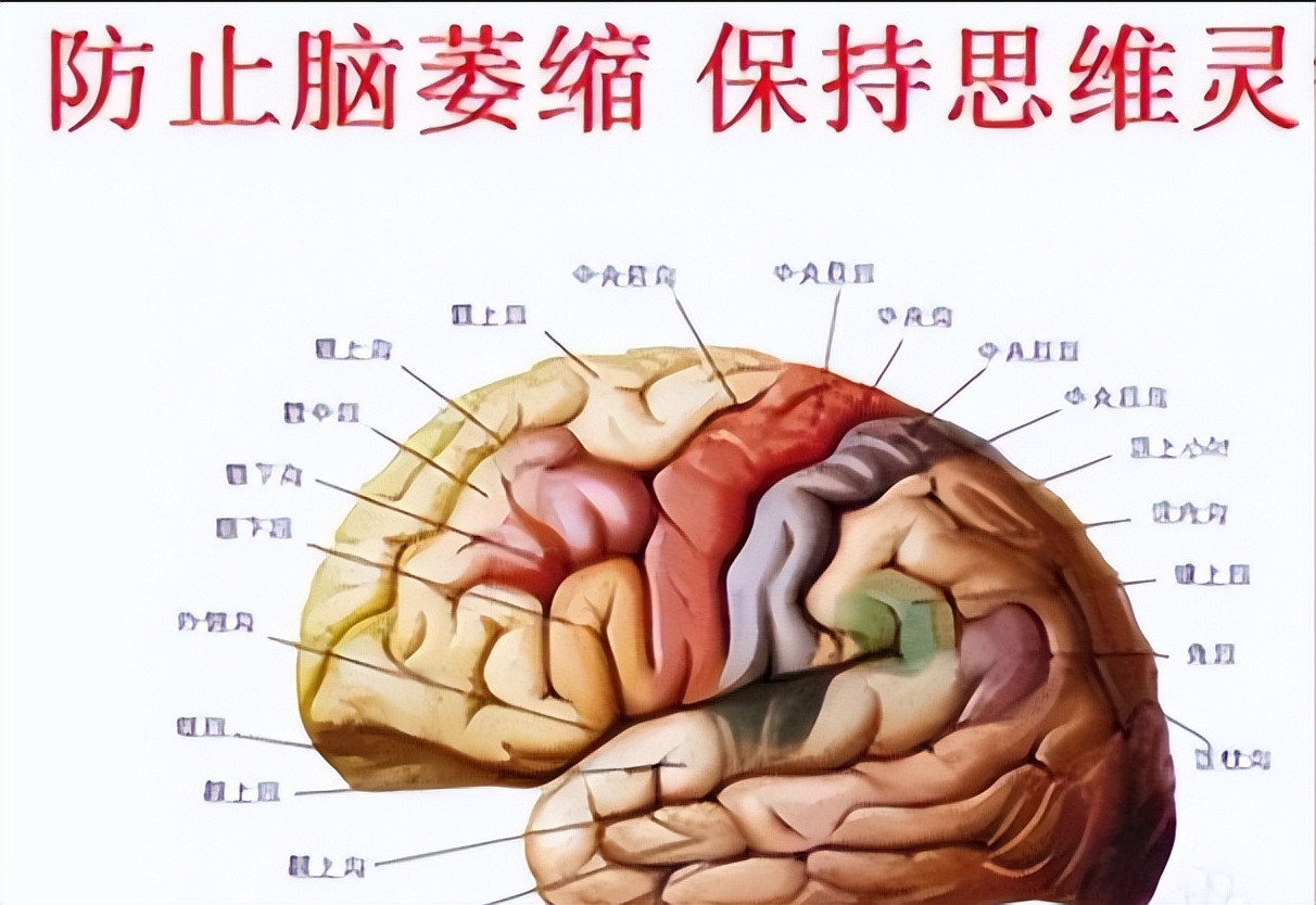 脑萎缩一般寿命多久70岁,脑萎缩寿命是多少