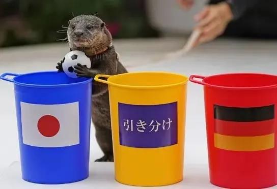 国足球员哭的场面,国足打平日本后日本球迷的反应