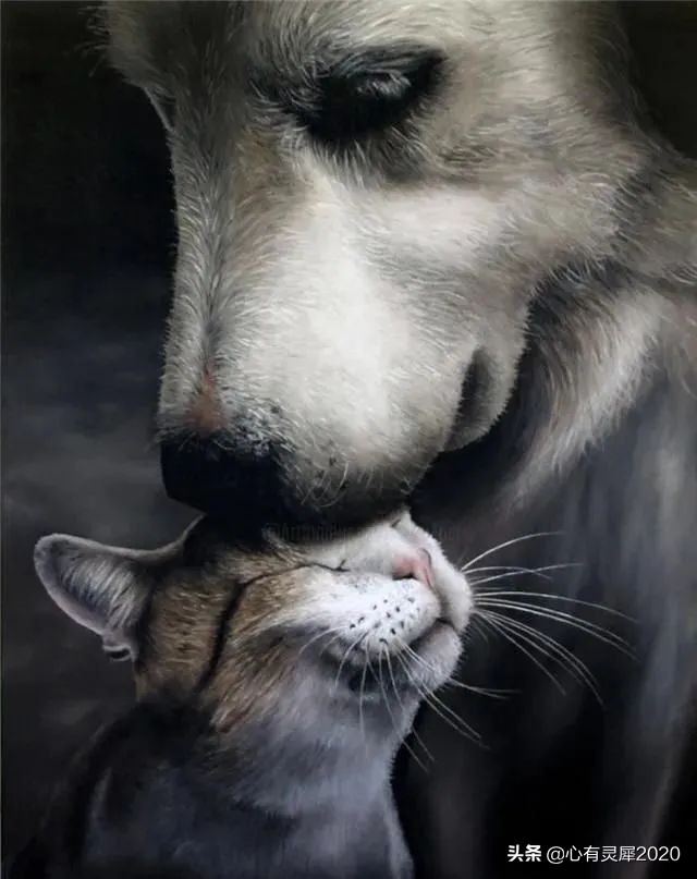 意大利艺术家伊万皮利,其充满“大爱”的人物视觉盛宴,令人惊叹